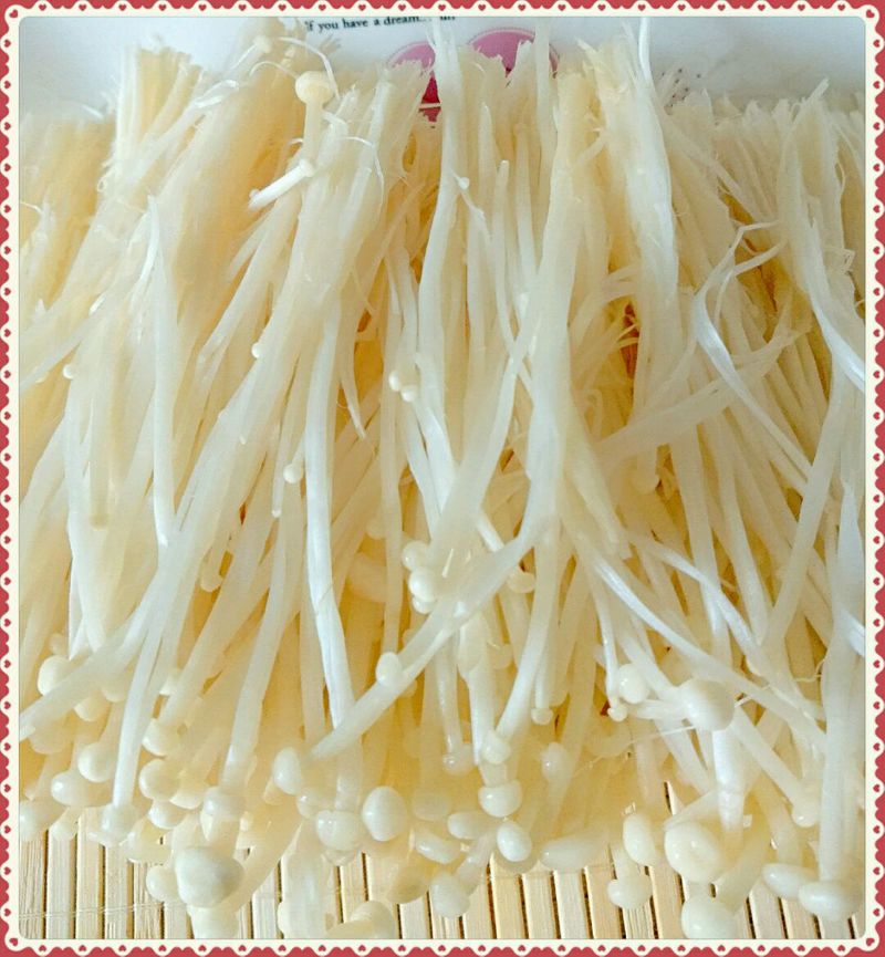 Step 4