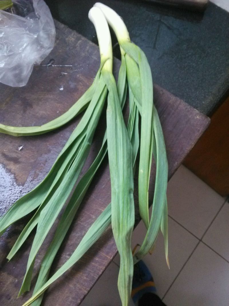 Step 4