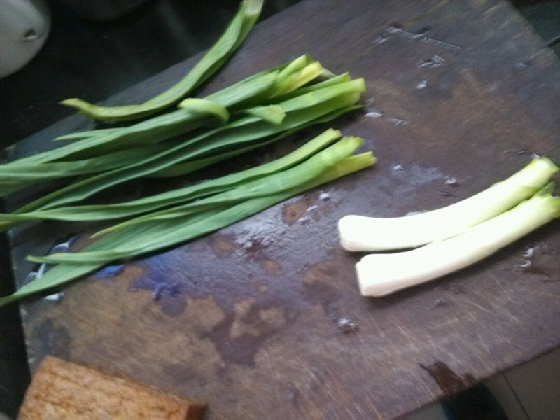 Step 5