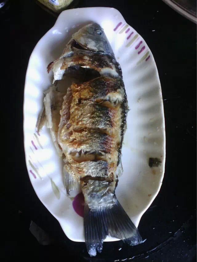 Step 8