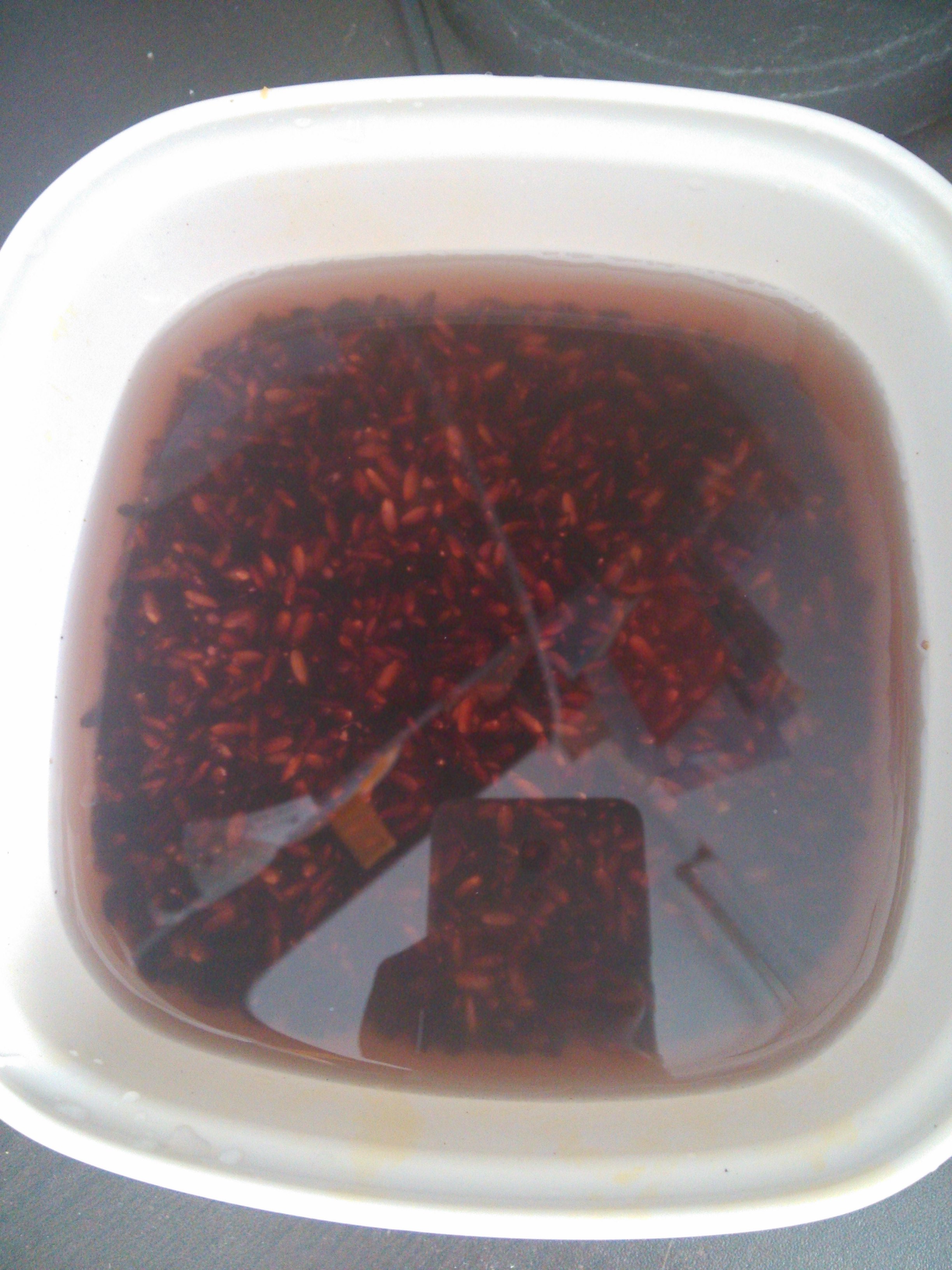 Step 7